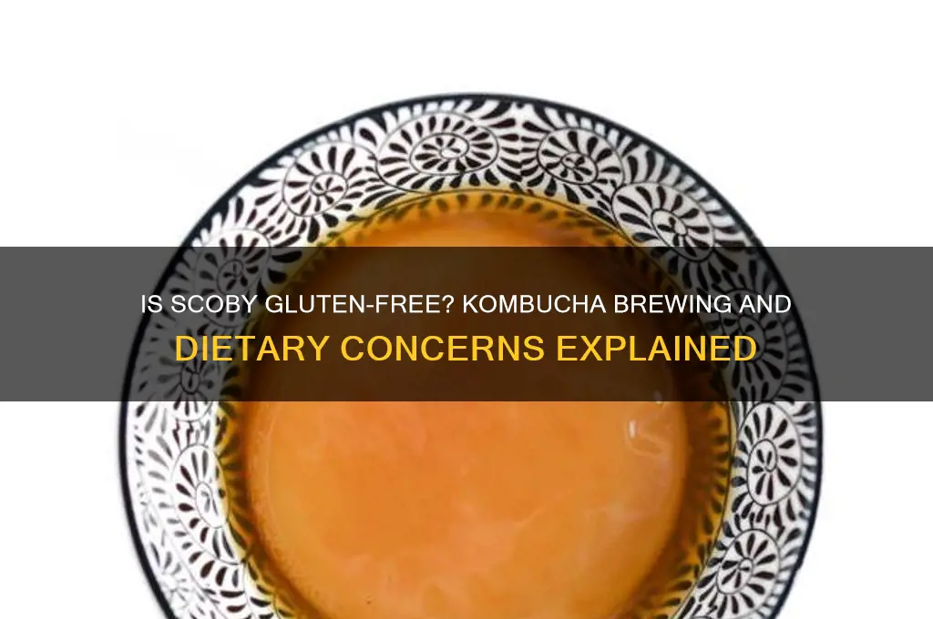 is scoby gluten free
