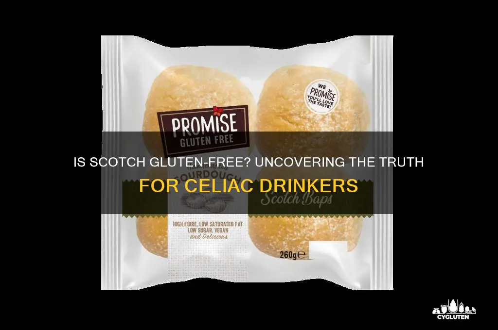 is scotch gluten-free