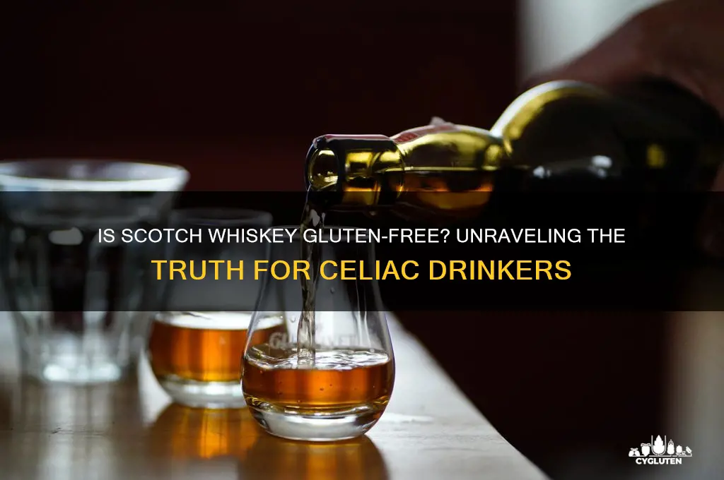 is scotch whiskey gluten free