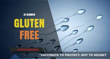 Is Semen Gluten-Free? Exploring the Facts and Myths
