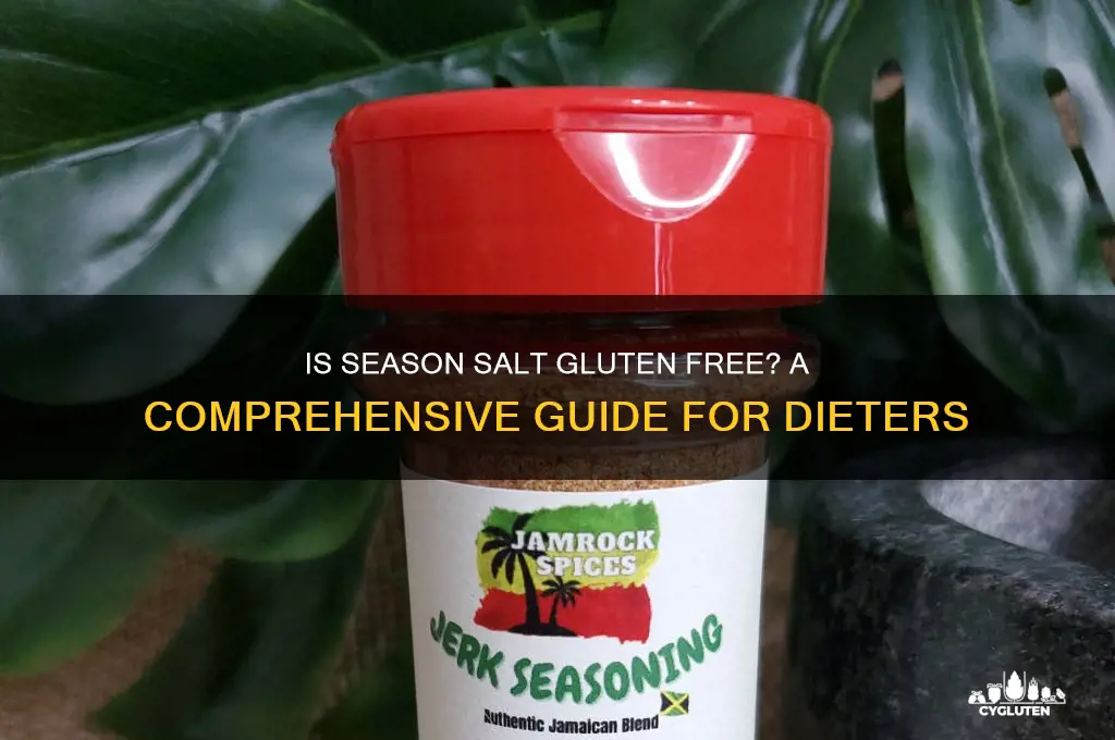 is season salt gluten free
