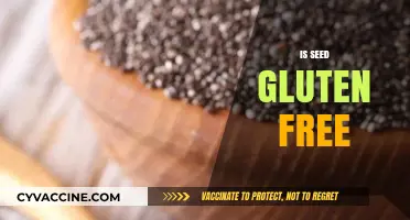 Are Seeds Gluten-Free? A Comprehensive Guide to Seed Safety