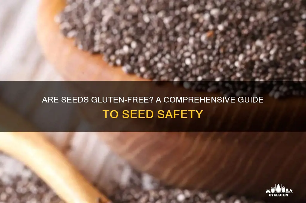 is seed gluten free