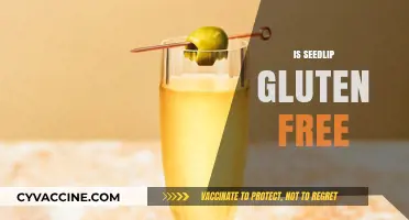 Is Seedlip Gluten-Free? A Comprehensive Guide to Your Questions