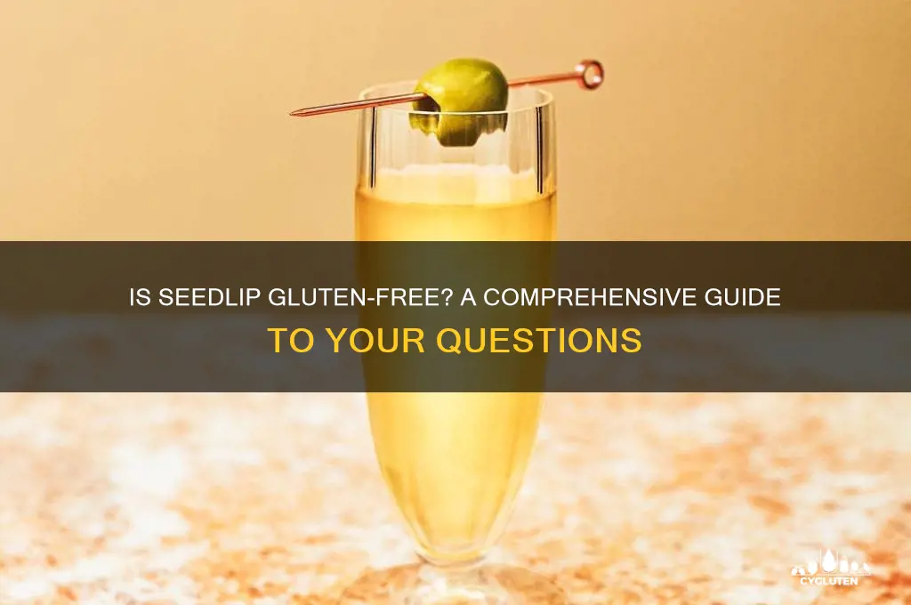 is seedlip gluten free