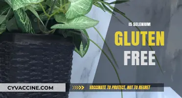 Is Selenium Gluten-Free? Unraveling the Facts for a Healthy Diet