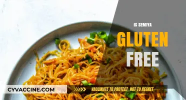 Is Semiya Gluten-Free? Discover the Truth About Vermicelli