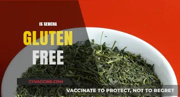 Is Sencha Gluten Free? A Comprehensive Guide to Green Tea Safety