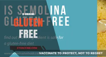 Is Senolina Gluten-Free? Unraveling the Truth for Your Diet