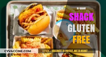 Is Shake Shack Gluten-Free? A Complete Guide to Safe Dining
