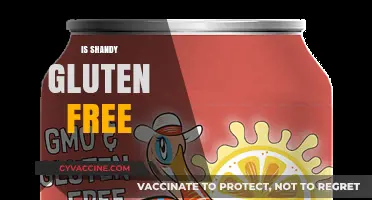 Is Shandy Gluten-Free? Exploring the Brew for Celiac Safety