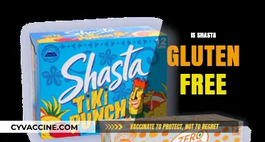 Is Shasta Soda Gluten-Free? A Complete Guide to Ingredients