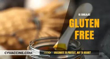 Is Shilajit Gluten-Free? A Comprehensive Guide to Its Ingredients