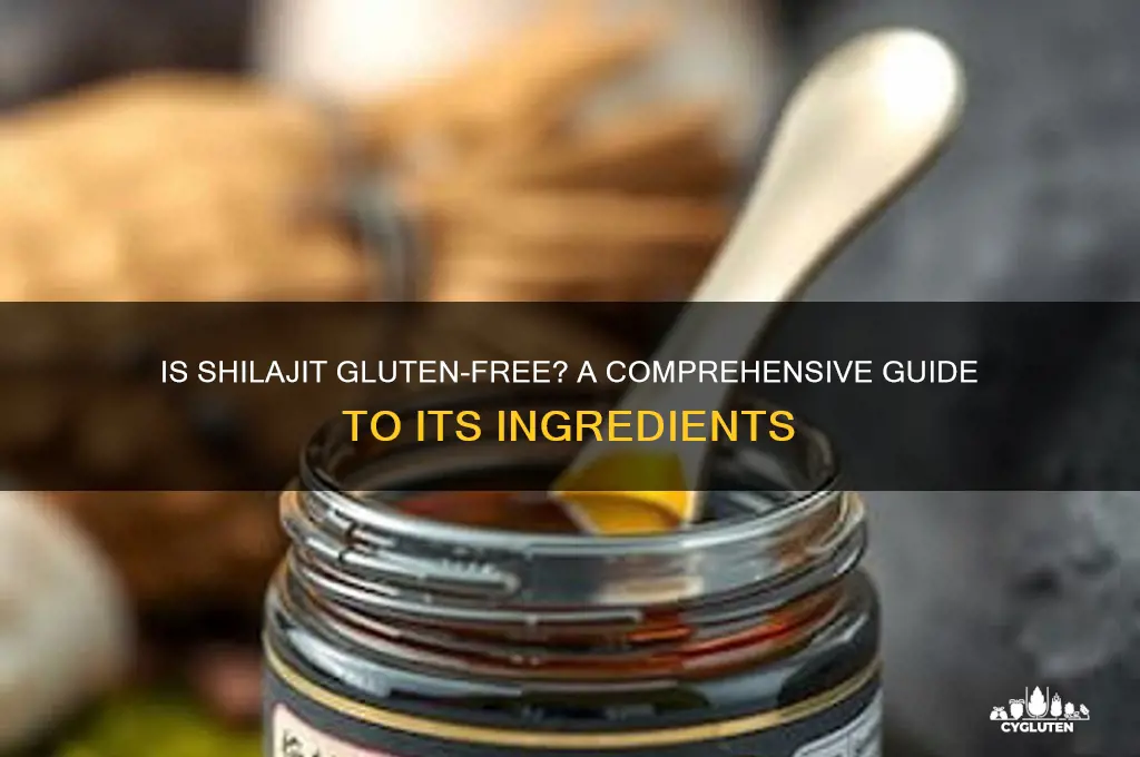 is shilajit gluten free