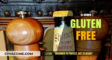 Is Shiner Gluten-Free? A Complete Guide to Your Beer Choice