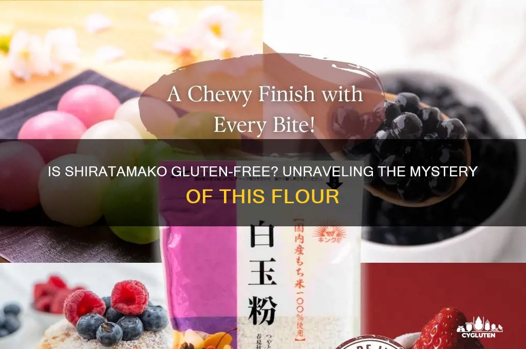 is shiratamako gluten free