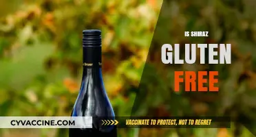 Is Shiraz Gluten-Free? Exploring Wine Safety for Celiac Diets