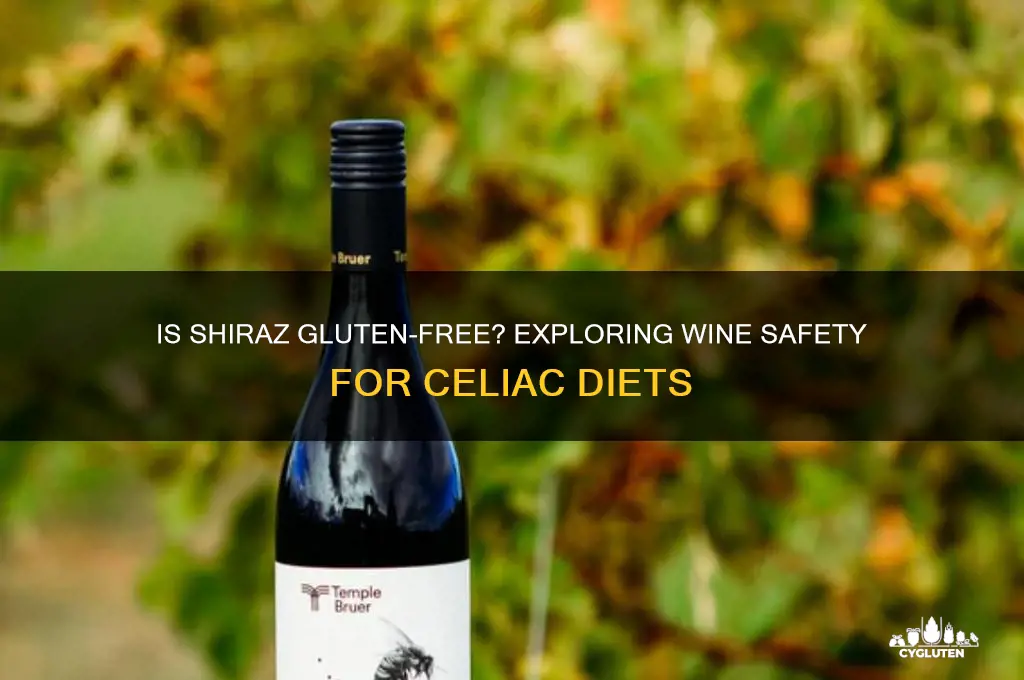 is shiraz gluten free