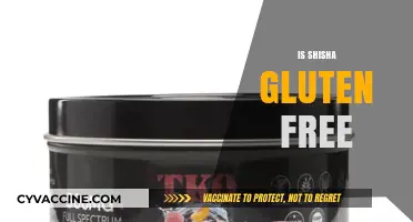 Is Shisha Gluten-Free? Uncovering the Truth for Health-Conscious Smokers