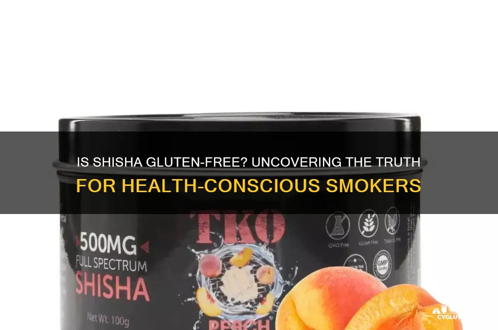 is shisha gluten free