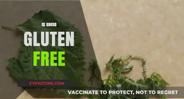 Is Shiso Gluten Free? Exploring the Herb's Dietary Compatibility