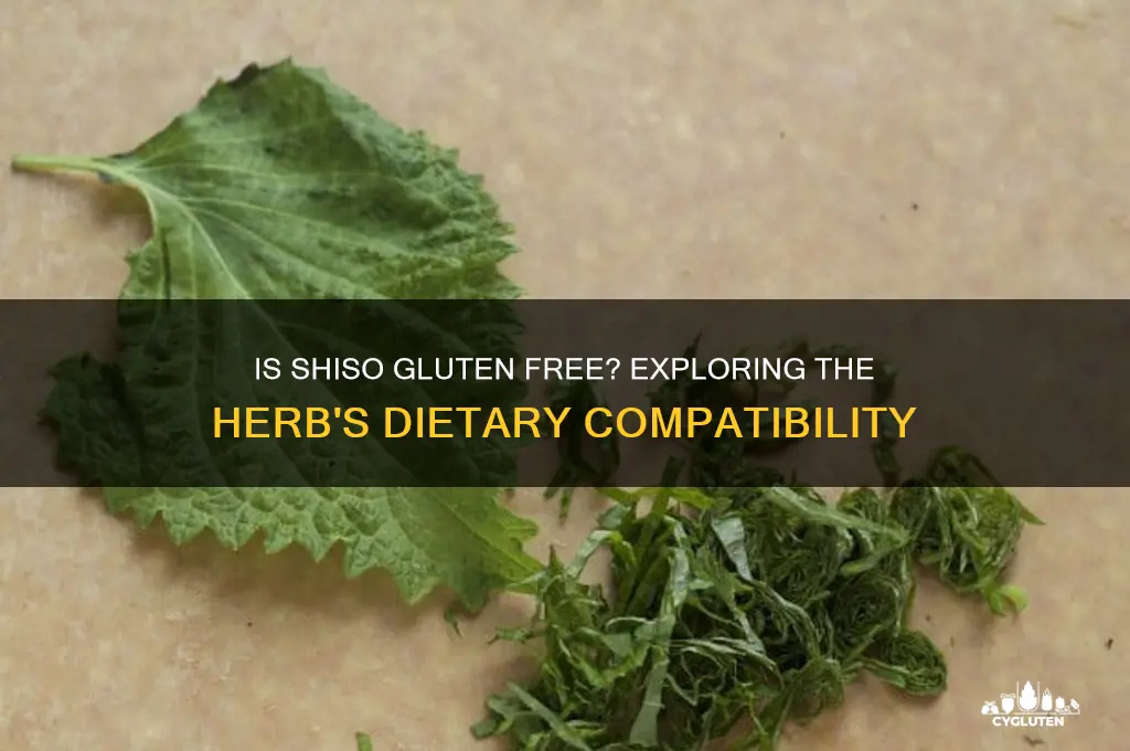 is shiso gluten free