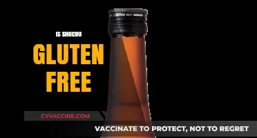 Is Shochu Gluten-Free? Uncovering the Truth for Celiac Drinkers