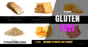 Is Silica Gluten Free? Understanding Its Safety for Celiac Diets