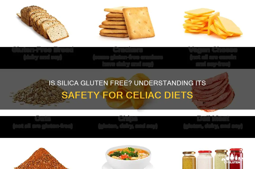 is silica gluten free