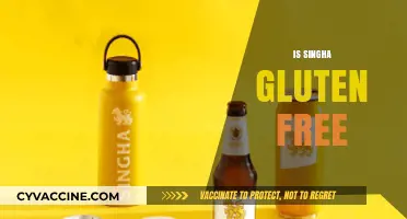 Is Singha Gluten-Free? Exploring the Beer's Ingredients and Safety