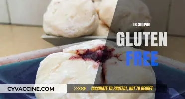 Is Siopao Gluten-Free? A Complete Guide to This Steamed Bun