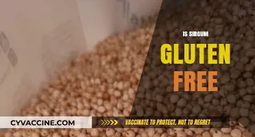Is Sirgum Gluten-Free? A Comprehensive Guide to Its Ingredients