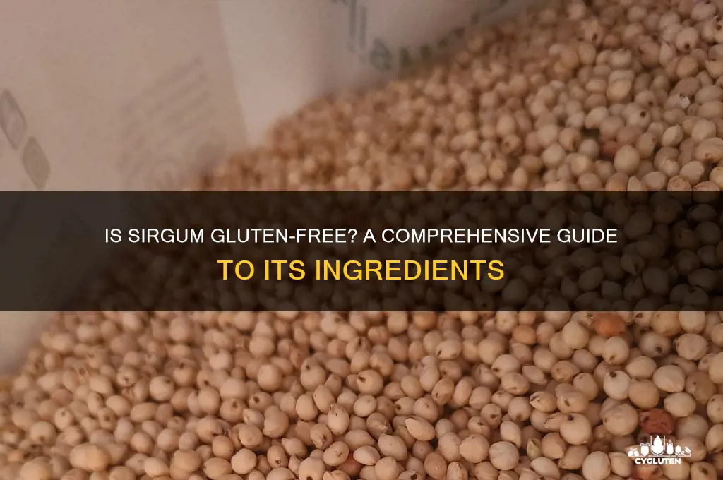 is sirgum gluten free