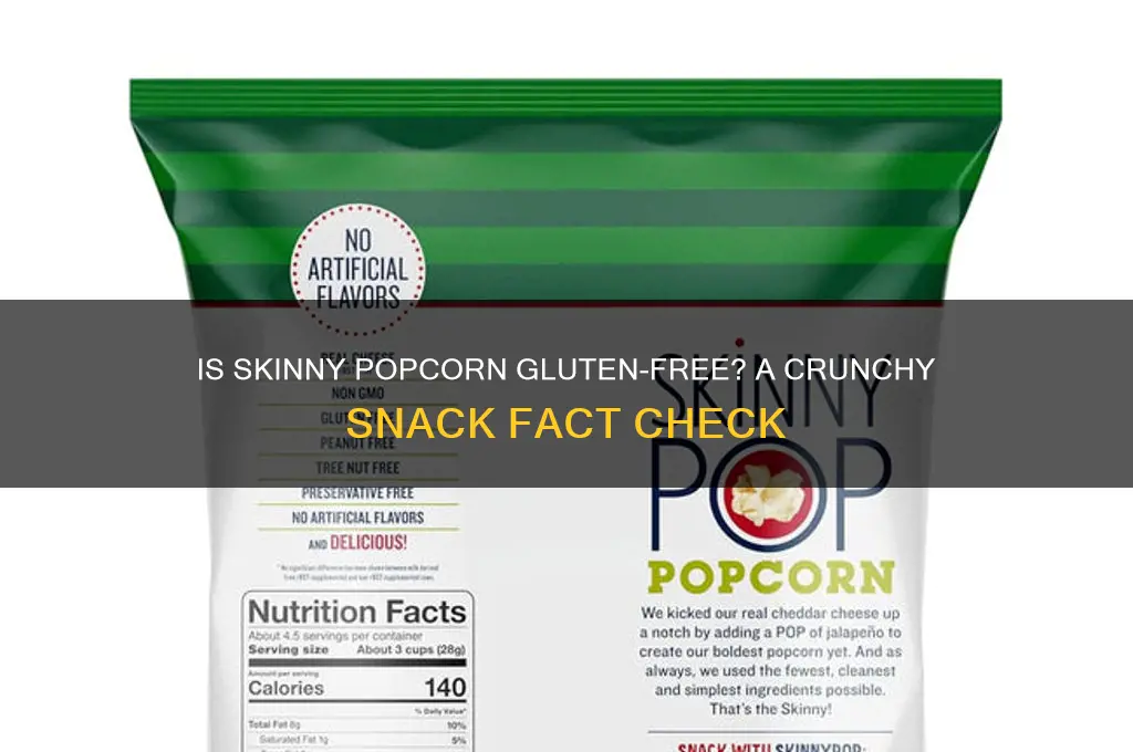 is skinny popcorn gluten free