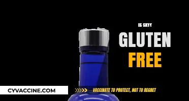 Is Skyy Vodka Gluten-Free? A Complete Guide for Drinkers
