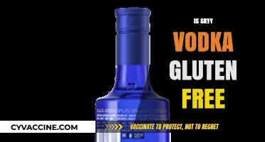 Is Skyy Vodka Gluten-Free? A Clear Answer for Celiac Drinkers