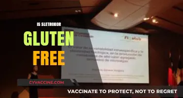Is Sletrokor Gluten-Free? A Comprehensive Dietary Analysis Revealed