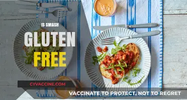 Is Smash Gluten-Free? Uncovering the Truth About This Popular Dish