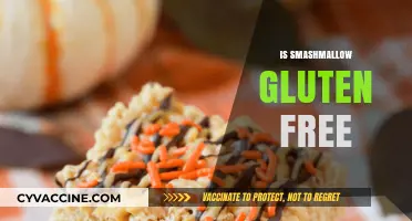 Are Smashmallow Treats Gluten-Free? A Sweet Snack Investigation