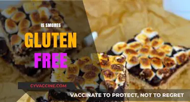 Are S'mores Gluten-Free? Ingredients and Safe Alternatives Explained