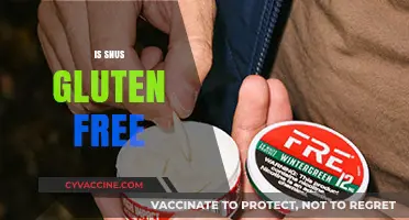 Is Snus Gluten-Free? A Comprehensive Guide for Snus Users