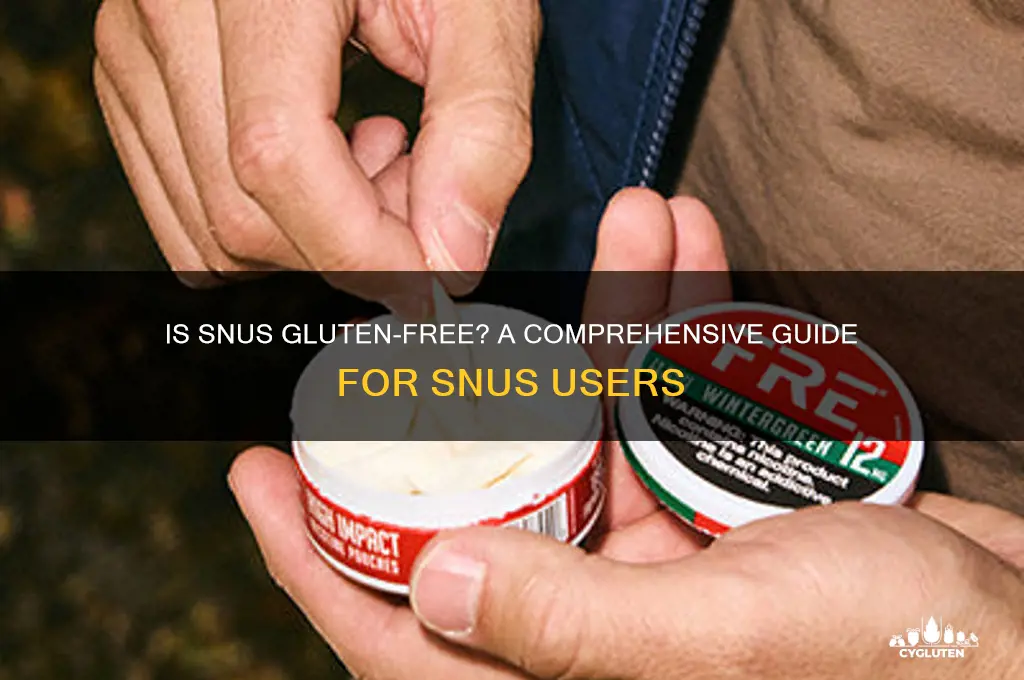 is snus gluten free