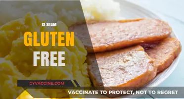 Is Soam Gluten Free? A Comprehensive Guide to Its Ingredients