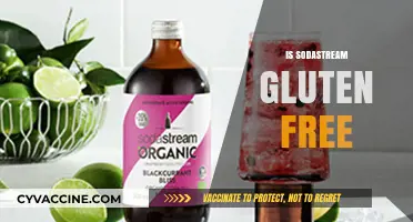 Is SodaStream Gluten-Free? A Complete Guide to Safe Sparkling Drinks