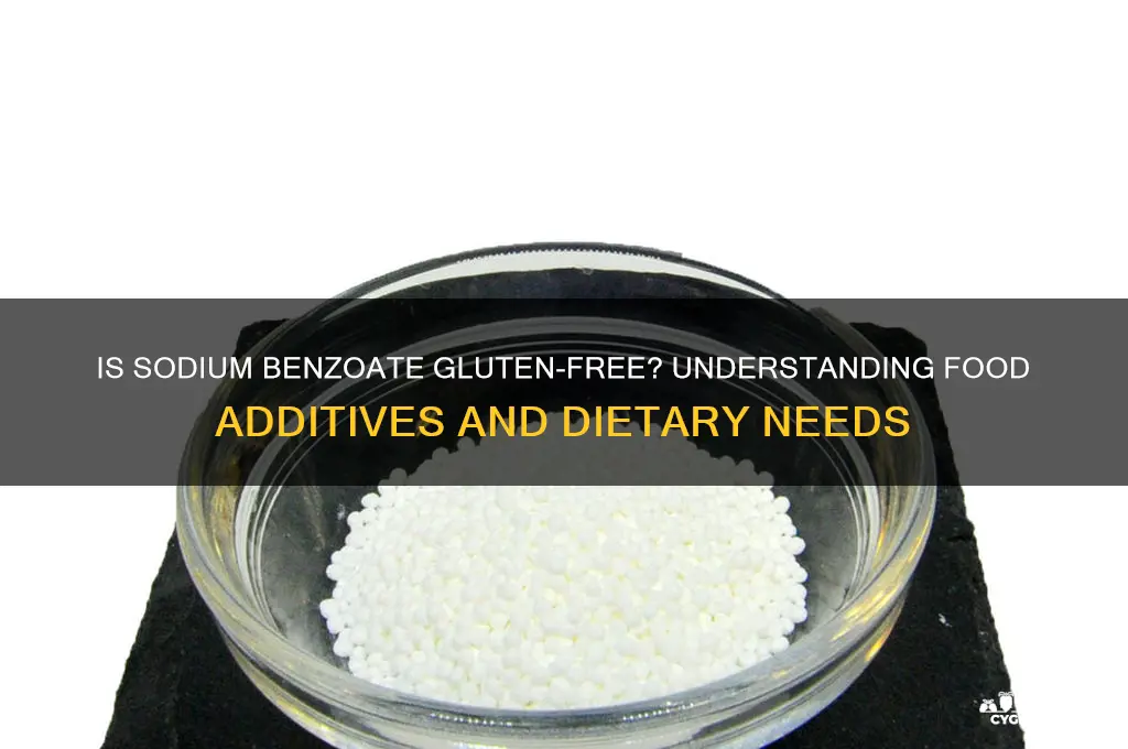 is sodium benzoate gluten free