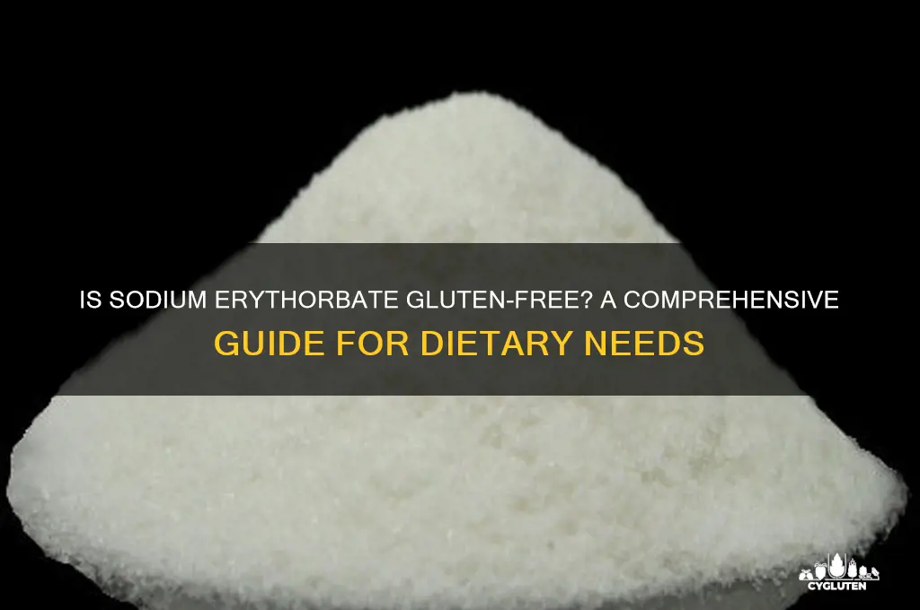 is sodium erythorbate gluten free
