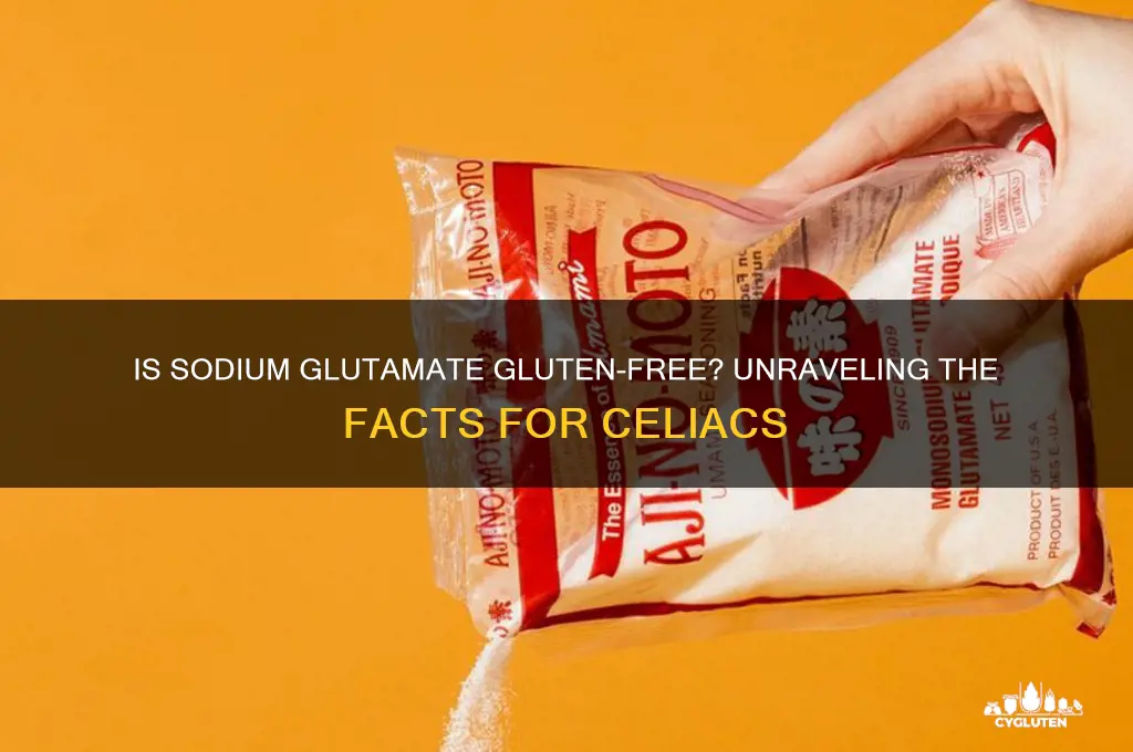 is sodium glutamate gluten free