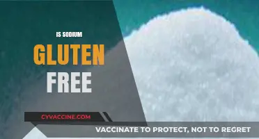 Is Sodium Gluten Free? Understanding Food Additives and Celiac Safety