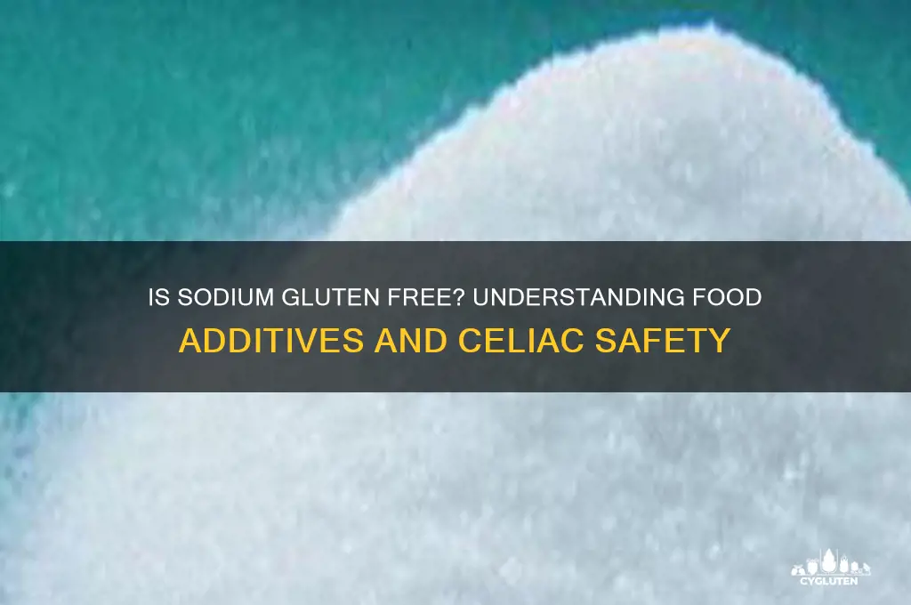 is sodium gluten free
