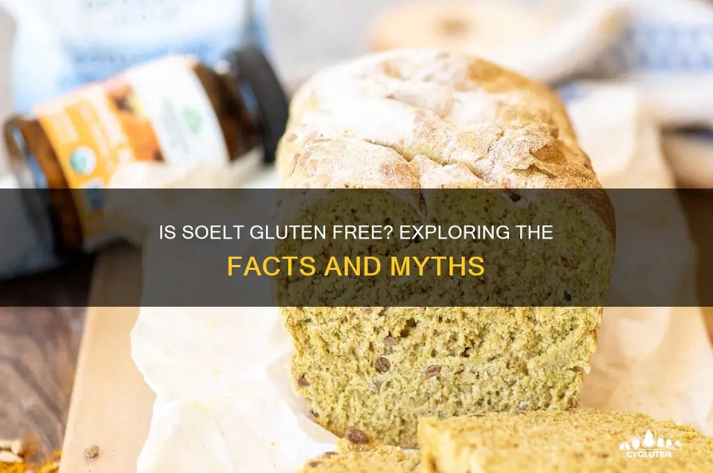 is soelt gluten free